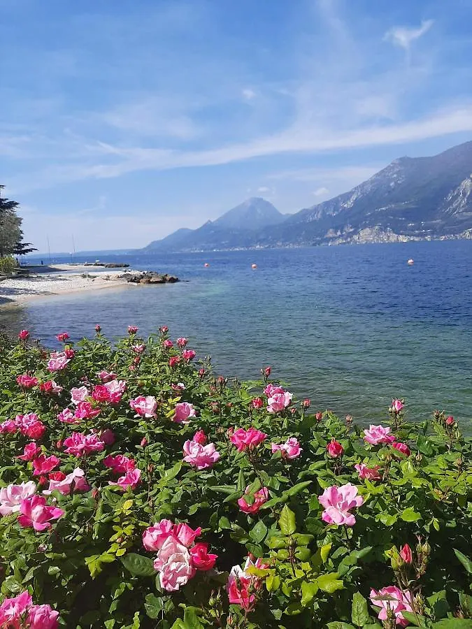 Villa Sul Lago Con Pontile Privato A Brenzone Sul Garda - Unique And Exclusive 0*,